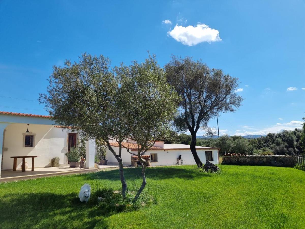 ארזח'ינה Lu Antu Alloggi Agrituristici מראה חיצוני תמונה